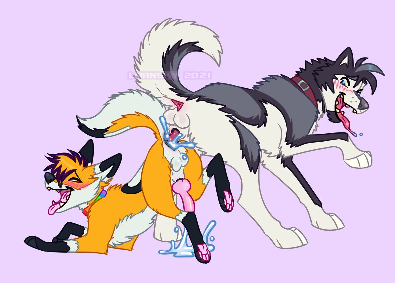 Animal Genitalia Rule 34 Image