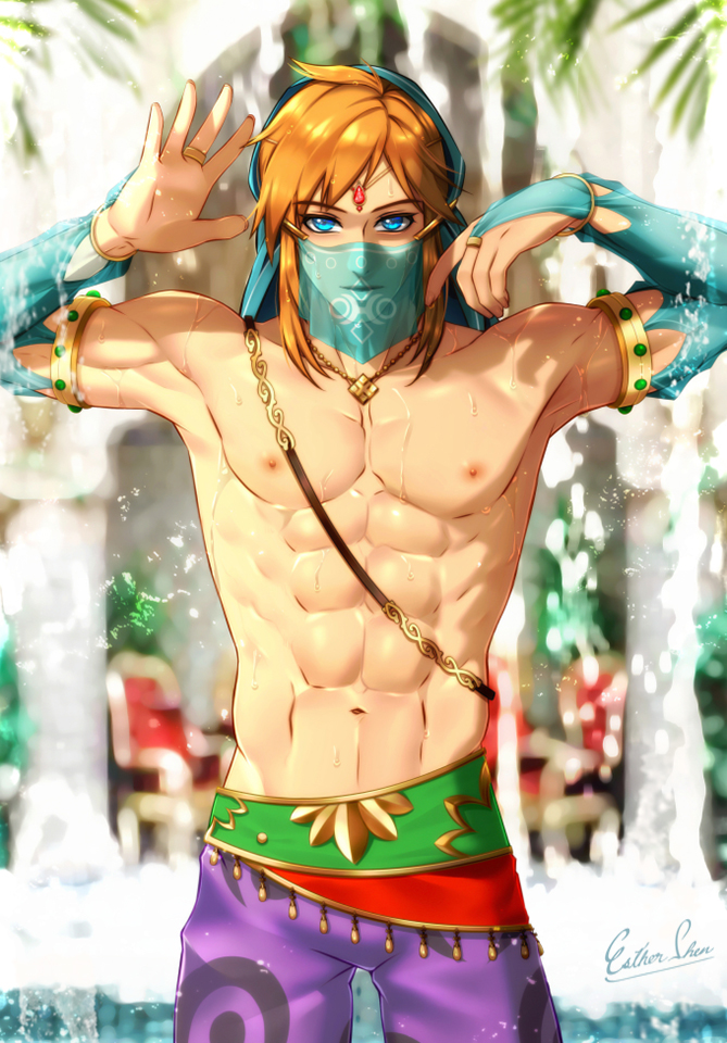Gerudo Link (Breath Of The Wild) Rule 34 Image