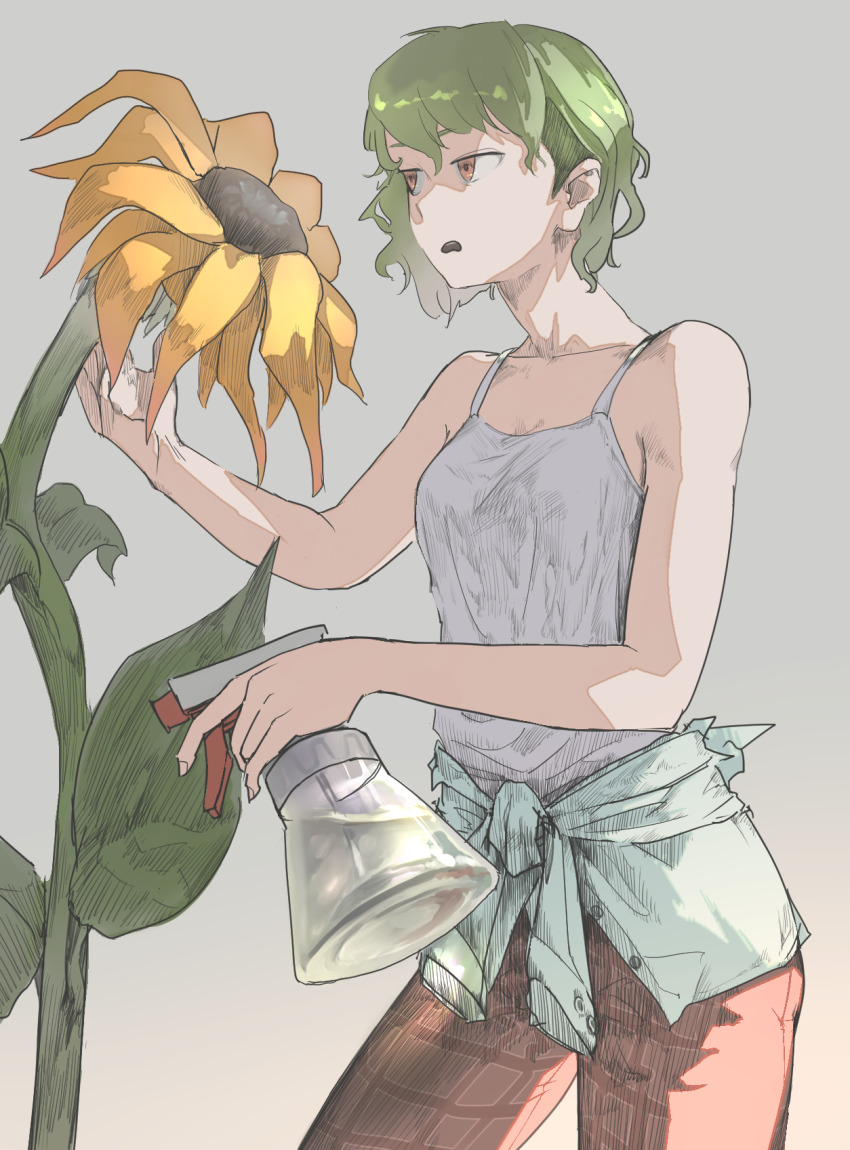 Kazami Yuuka (Touhou) Rule 34 Image