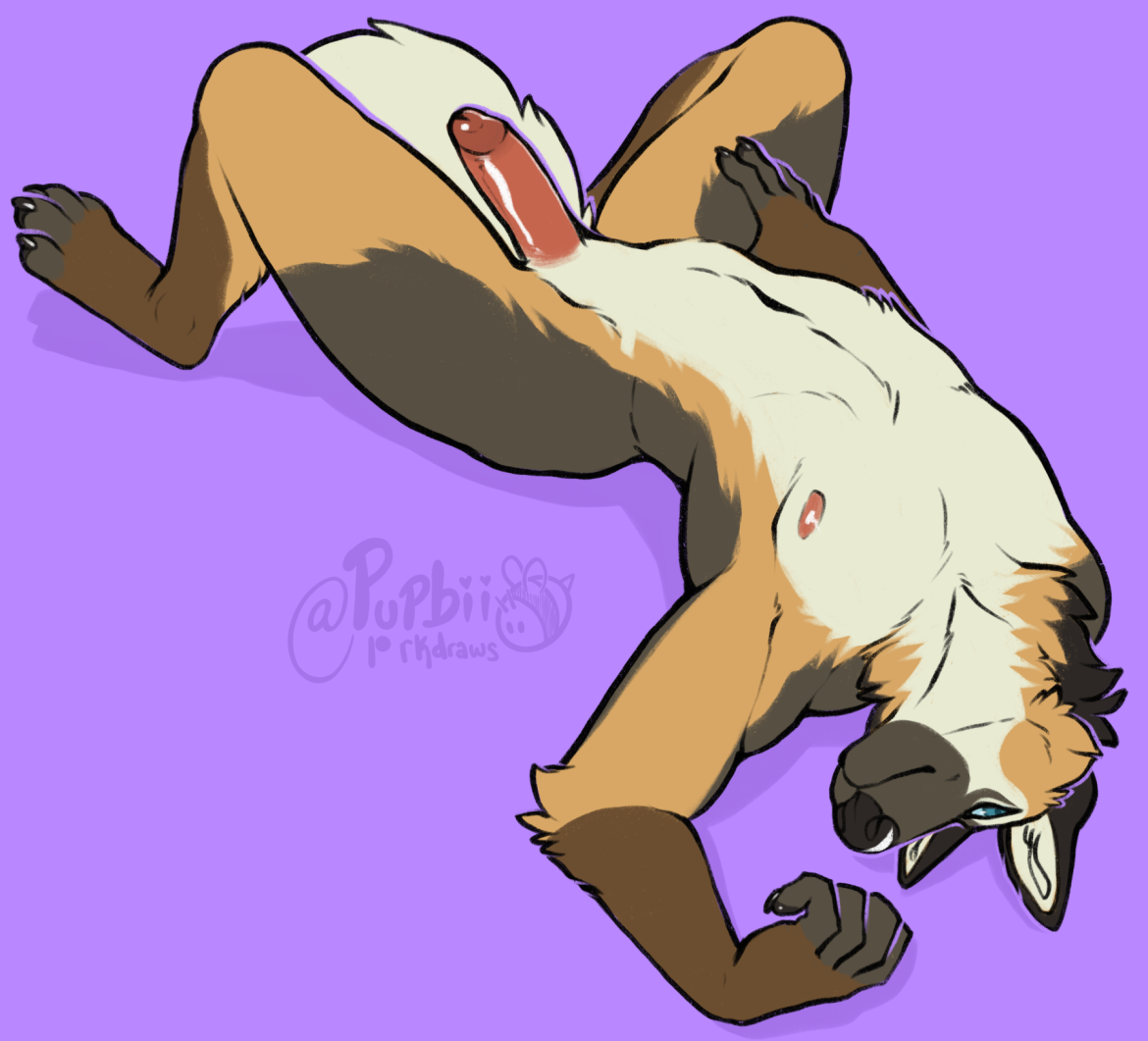 Anthro Rule 34 Image