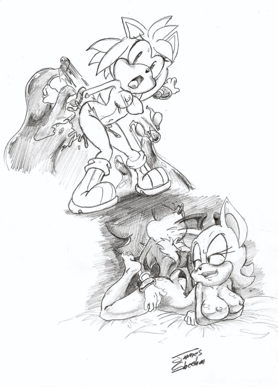 Amy Rose (Sonic (Series)) Rule 34 Image