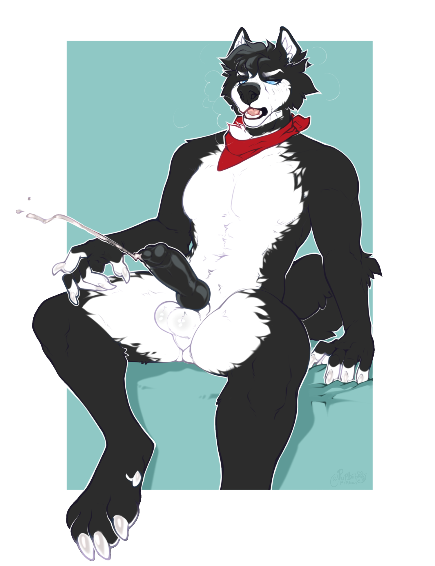 Animal Genitalia Rule 34 Image