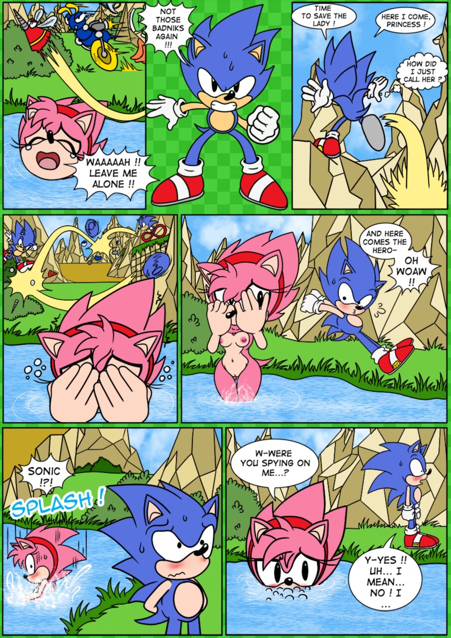 Amy Rose (Sonic (Series)) Rule 34 Image