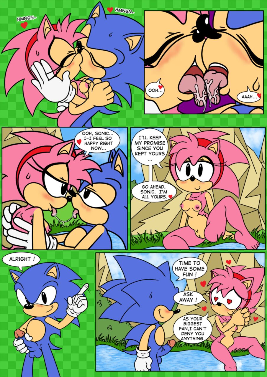Amy Rose (Sonic (Series)) Rule 34 Image