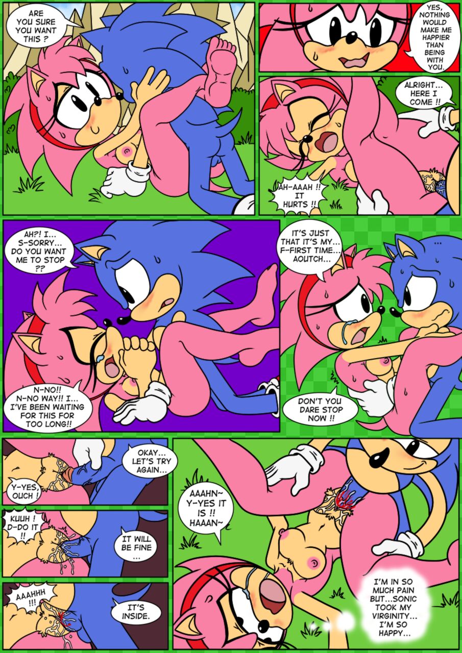 Amy Rose (Sonic (Series)) Rule 34 Image