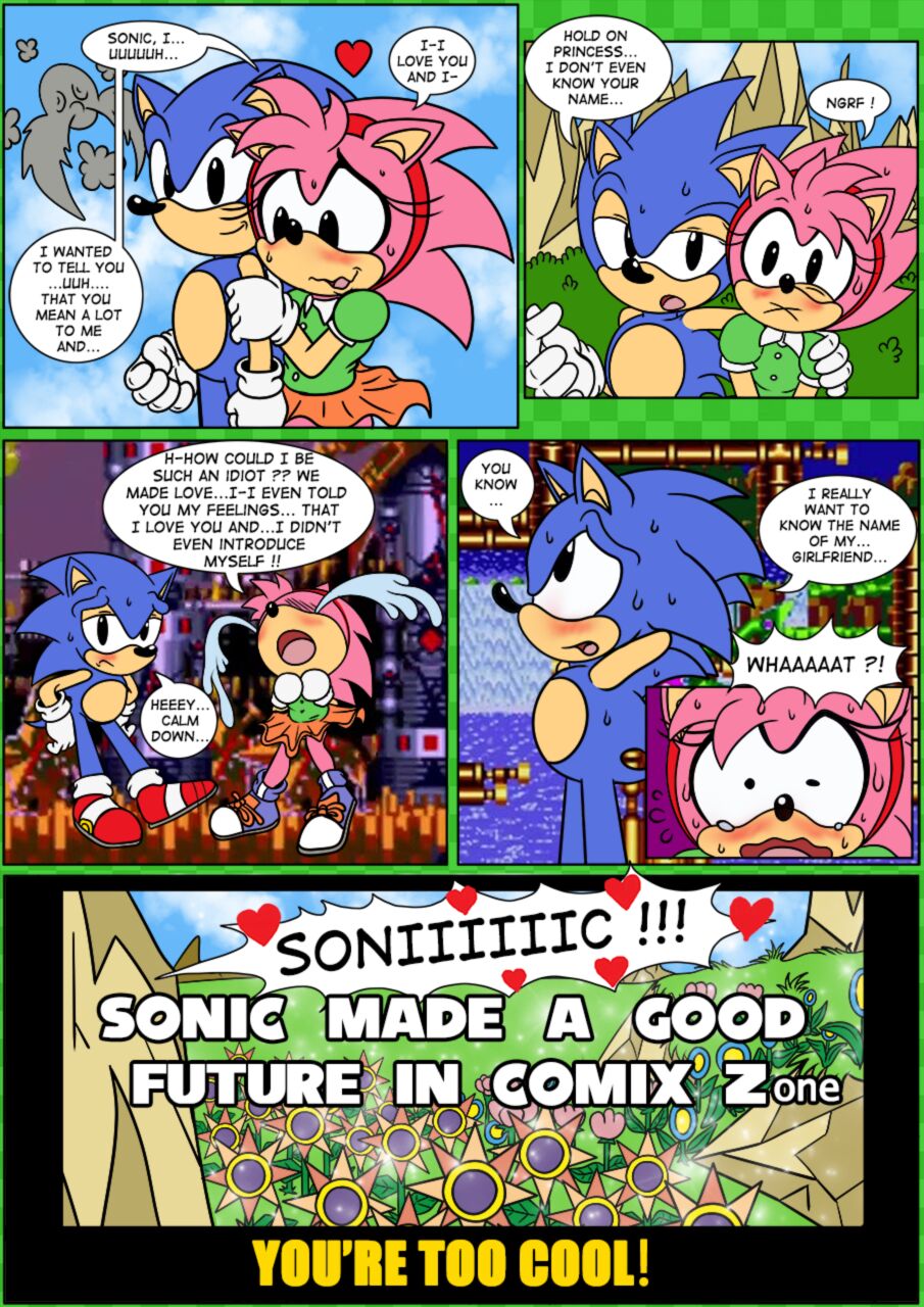 Amy Rose (Sonic (Series)) Rule 34 Image