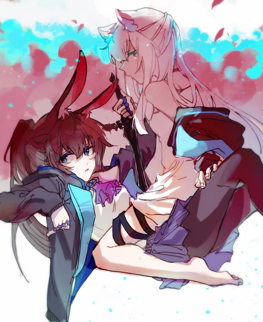 Amiya (Arknights) Rule 34 Image