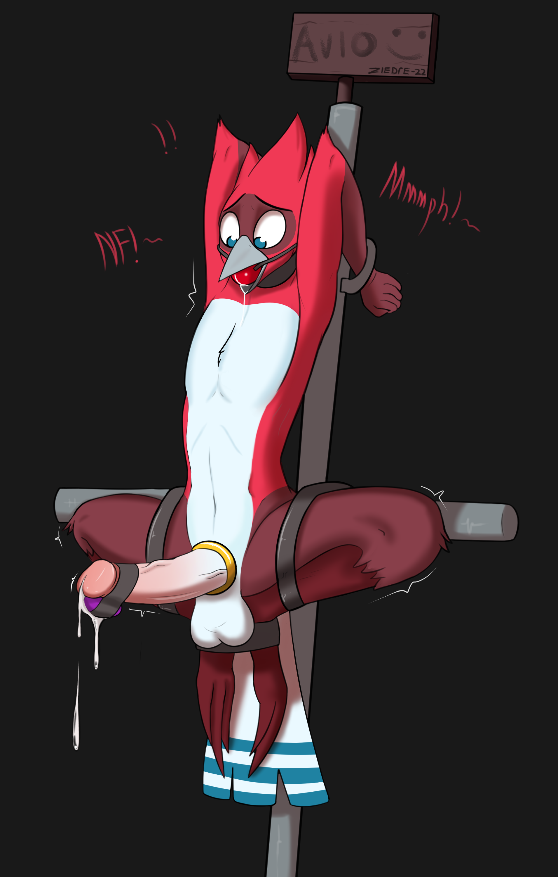 Avio (Avioylin) Rule 34 Image