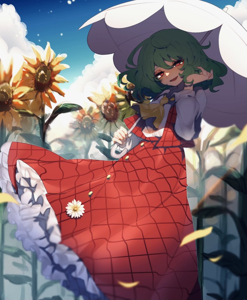 Kazami Yuuka (Touhou) Rule 34 Image