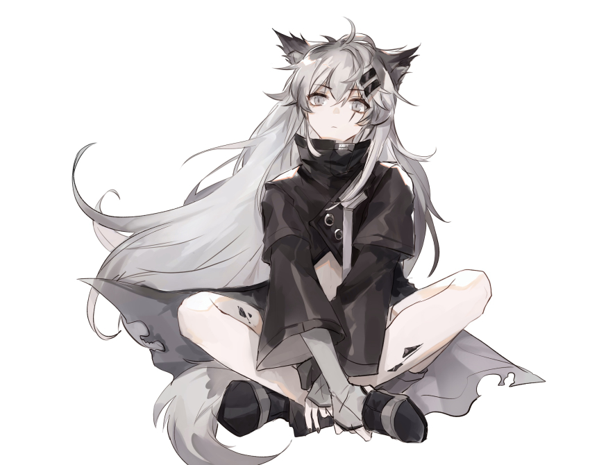Lappland (Arknights) Rule 34 Image