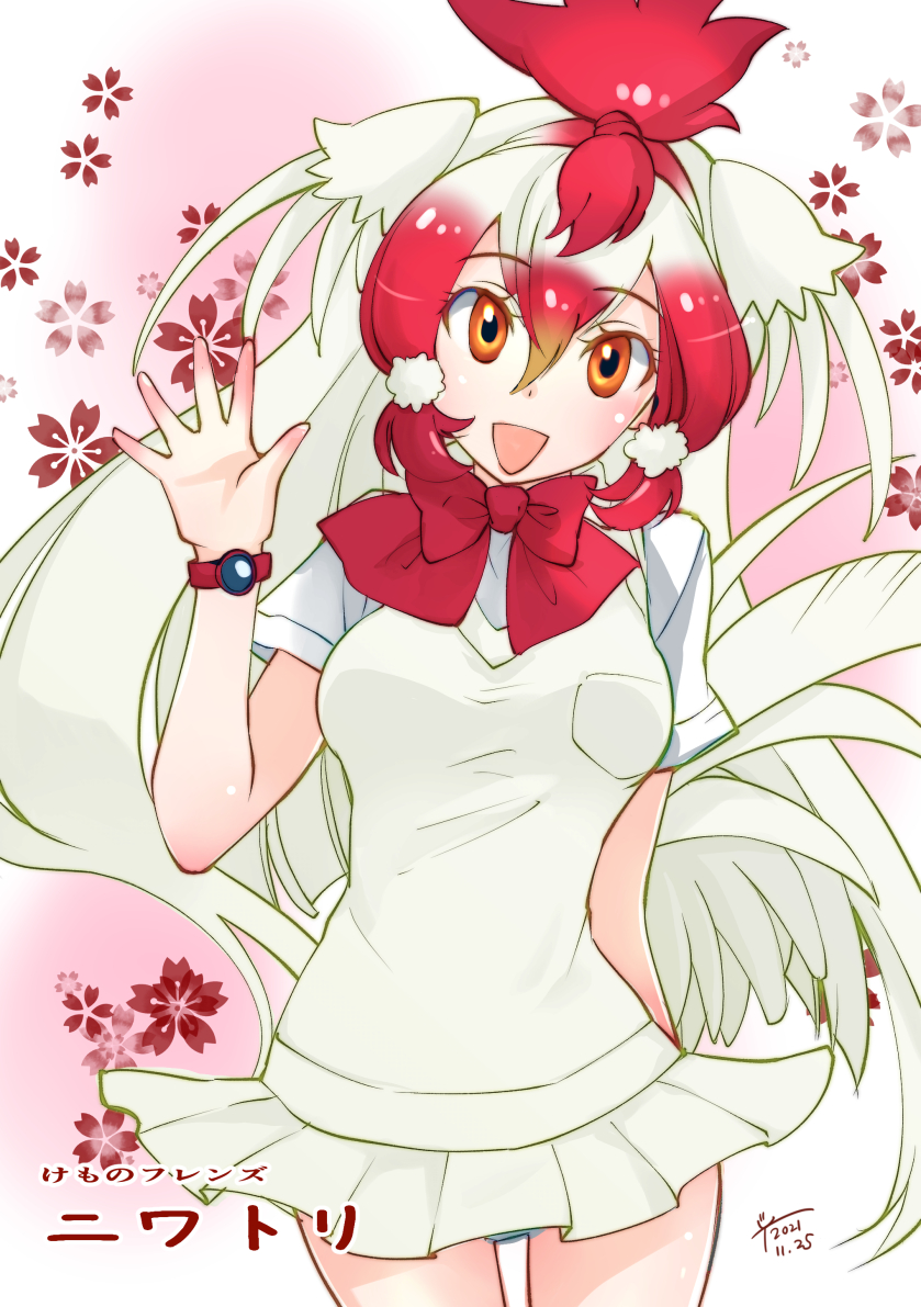 Chicken (Kemono Friends) Rule 34 Image