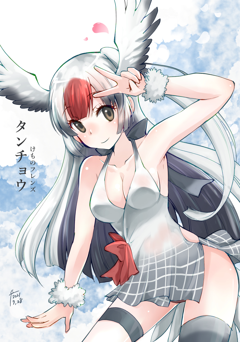 Kemono Friends Rule 34 Image