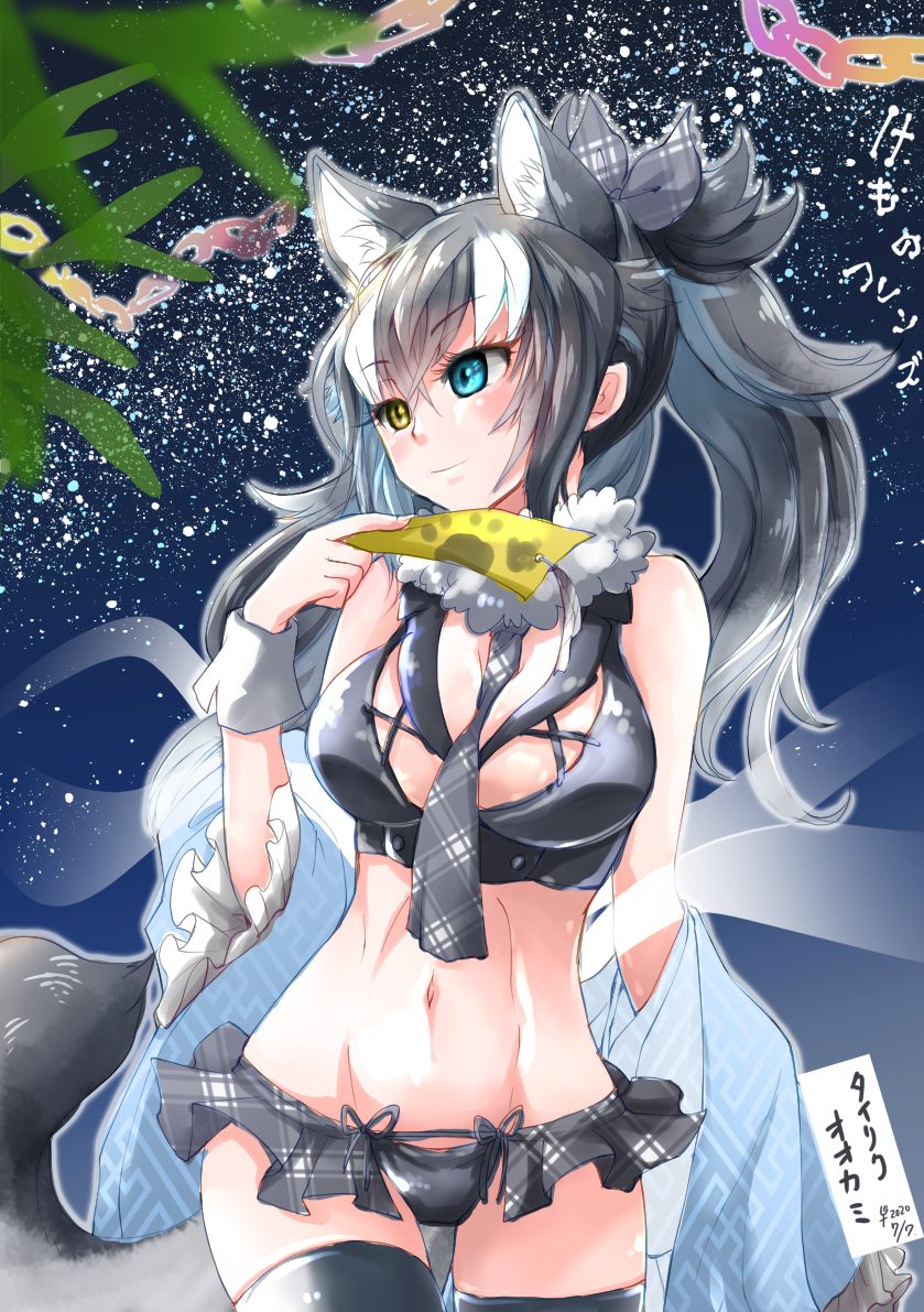 Grey Wolf (Kemono Friends) Rule 34 Image