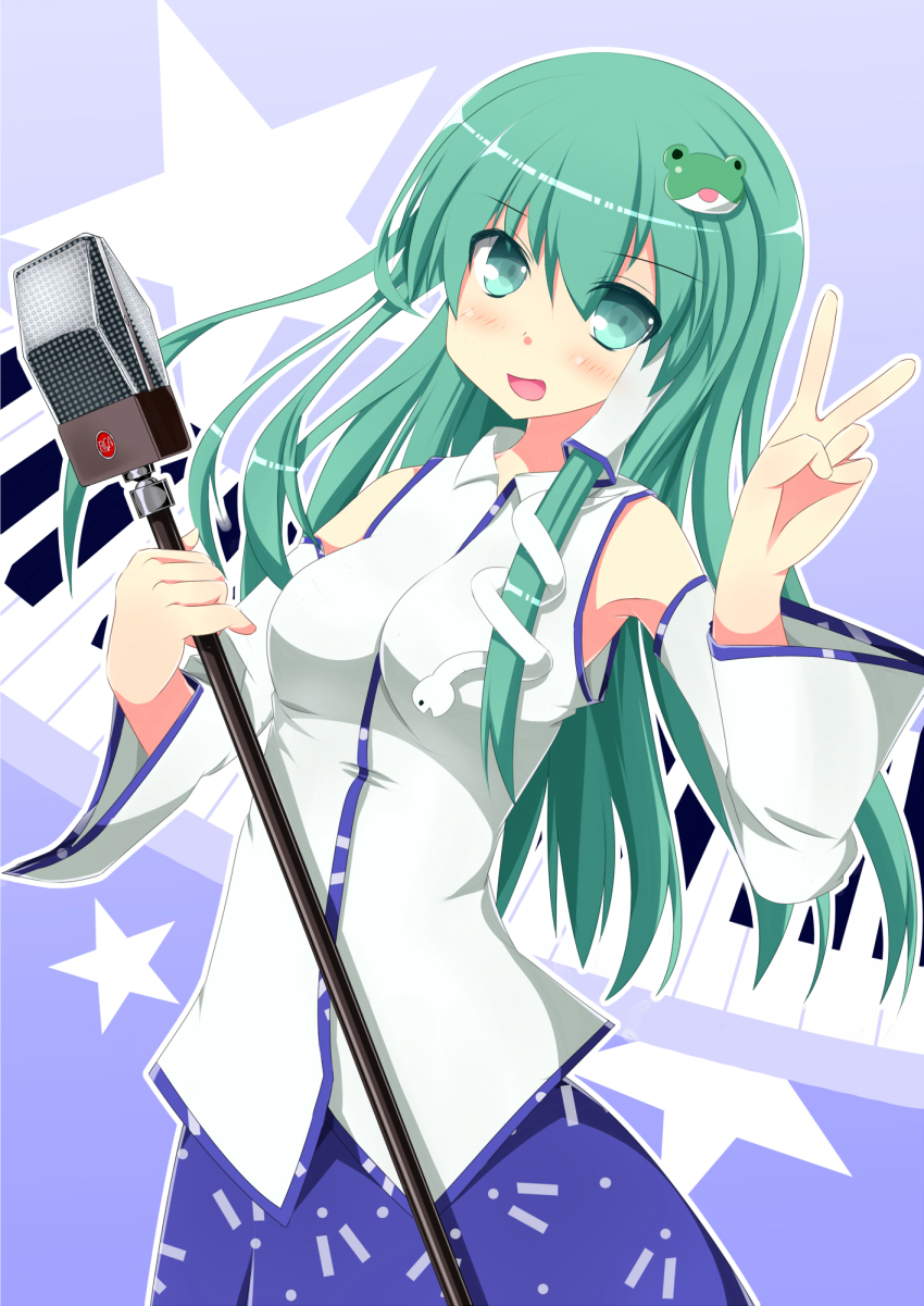Kochiya Sanae (Cookie (Touhou)) Rule 34 Image