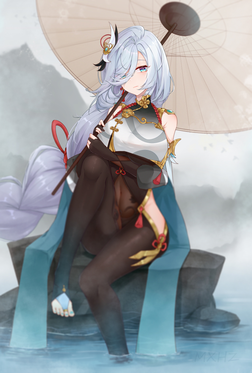 Shenhe (Genshin Impact) Rule 34 Image
