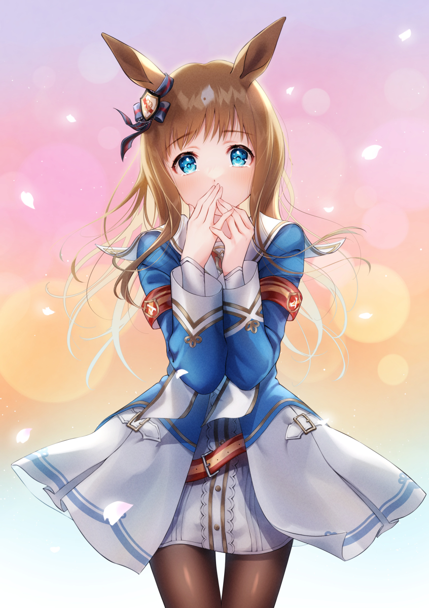 Grass Wonder (Umamusume) Rule 34 Image