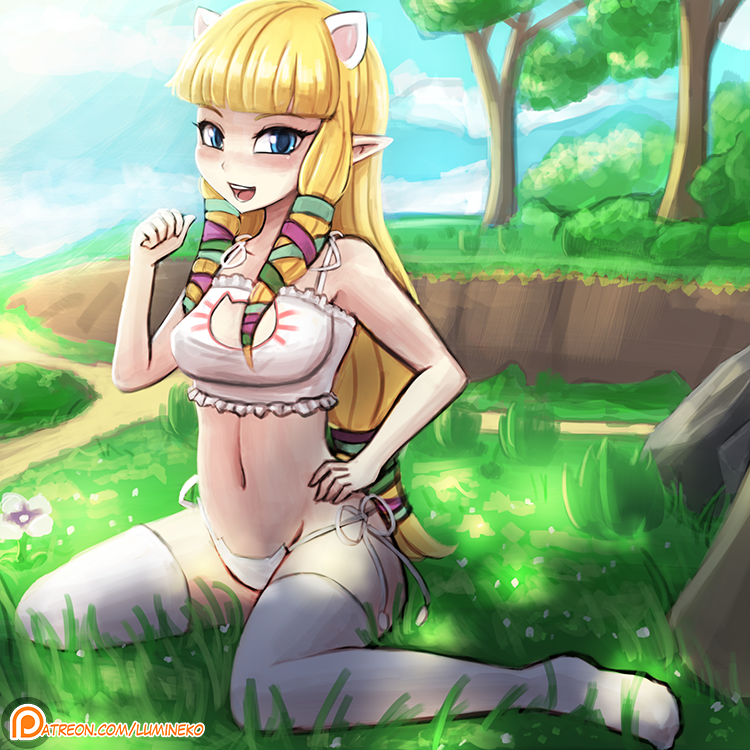Princess Zelda (Nintendo) Rule 34 Image