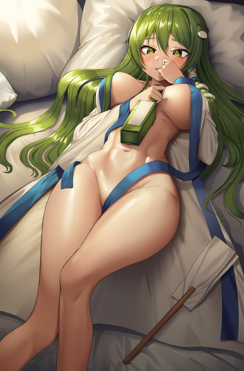 Kochiya Sanae (Touhou) Rule 34 Image