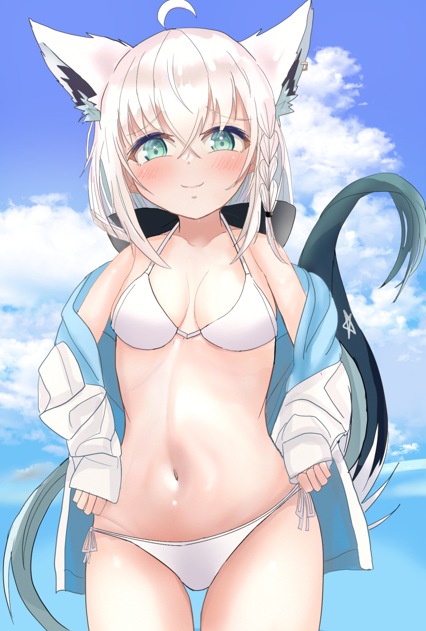 Shirakami Fubuki (Hololive) Rule 34 Image