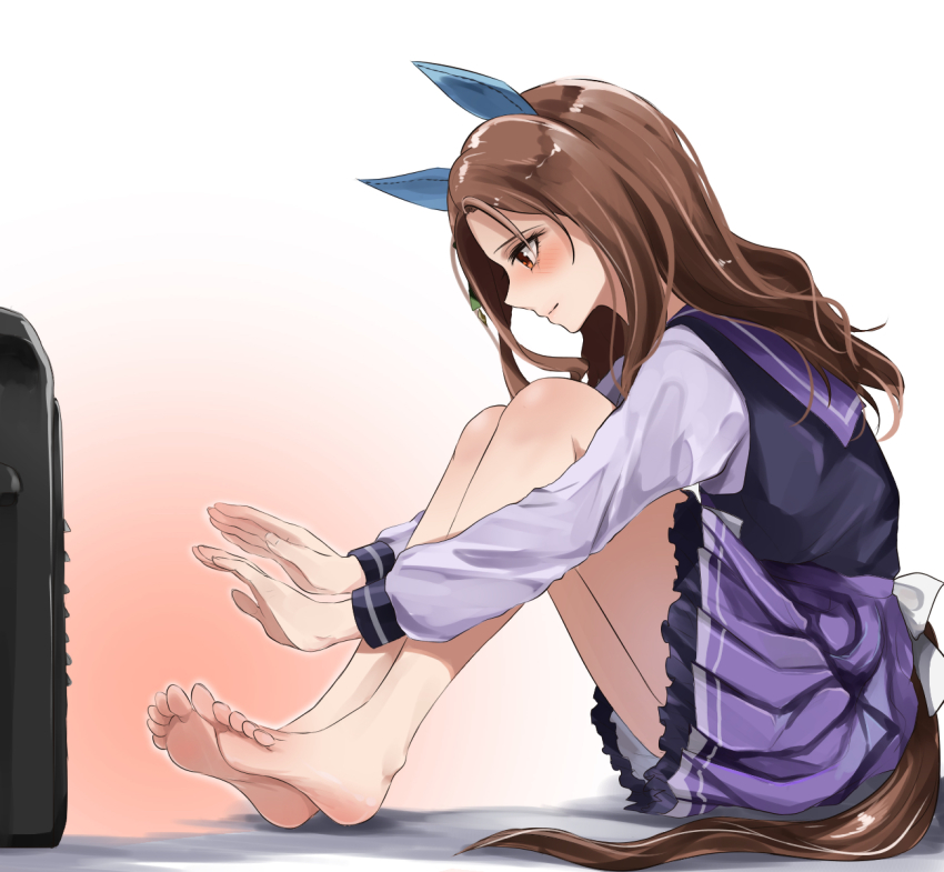 King Halo (Umamusume) Rule 34 Image