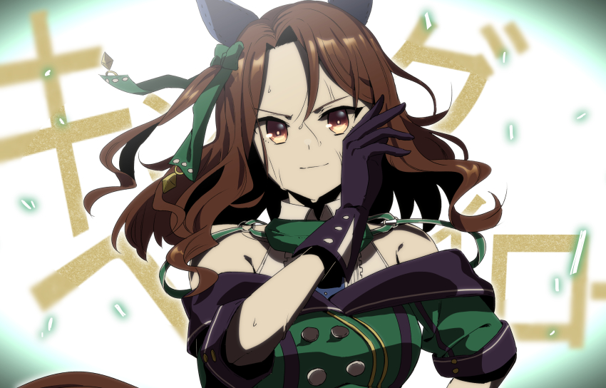 King Halo (Umamusume) Rule 34 Image