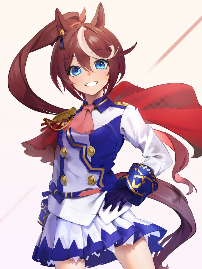 Tokai Teio (Umamusume) Rule 34 Image