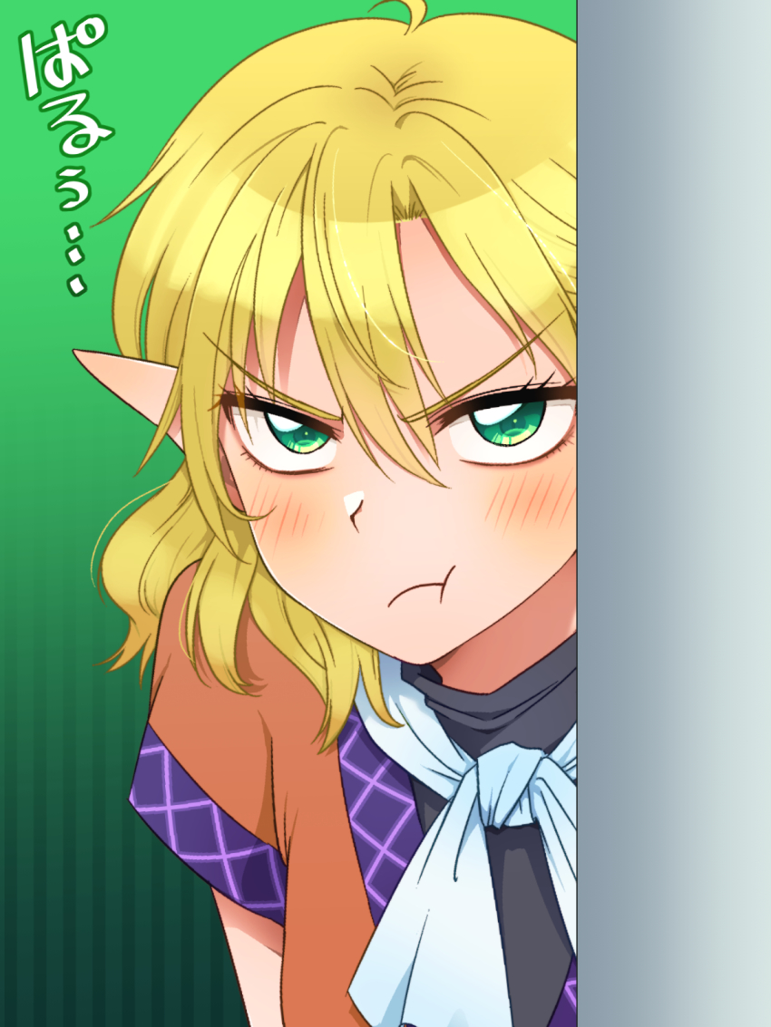 Mizuhashi Parsee (Touhou) Rule 34 Image
