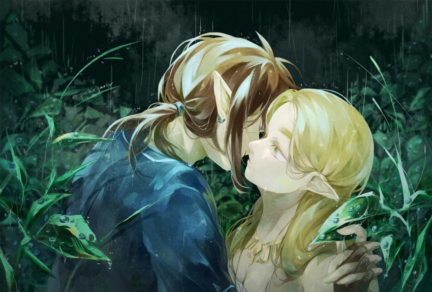 Link (Nintendo) Rule 34 Image