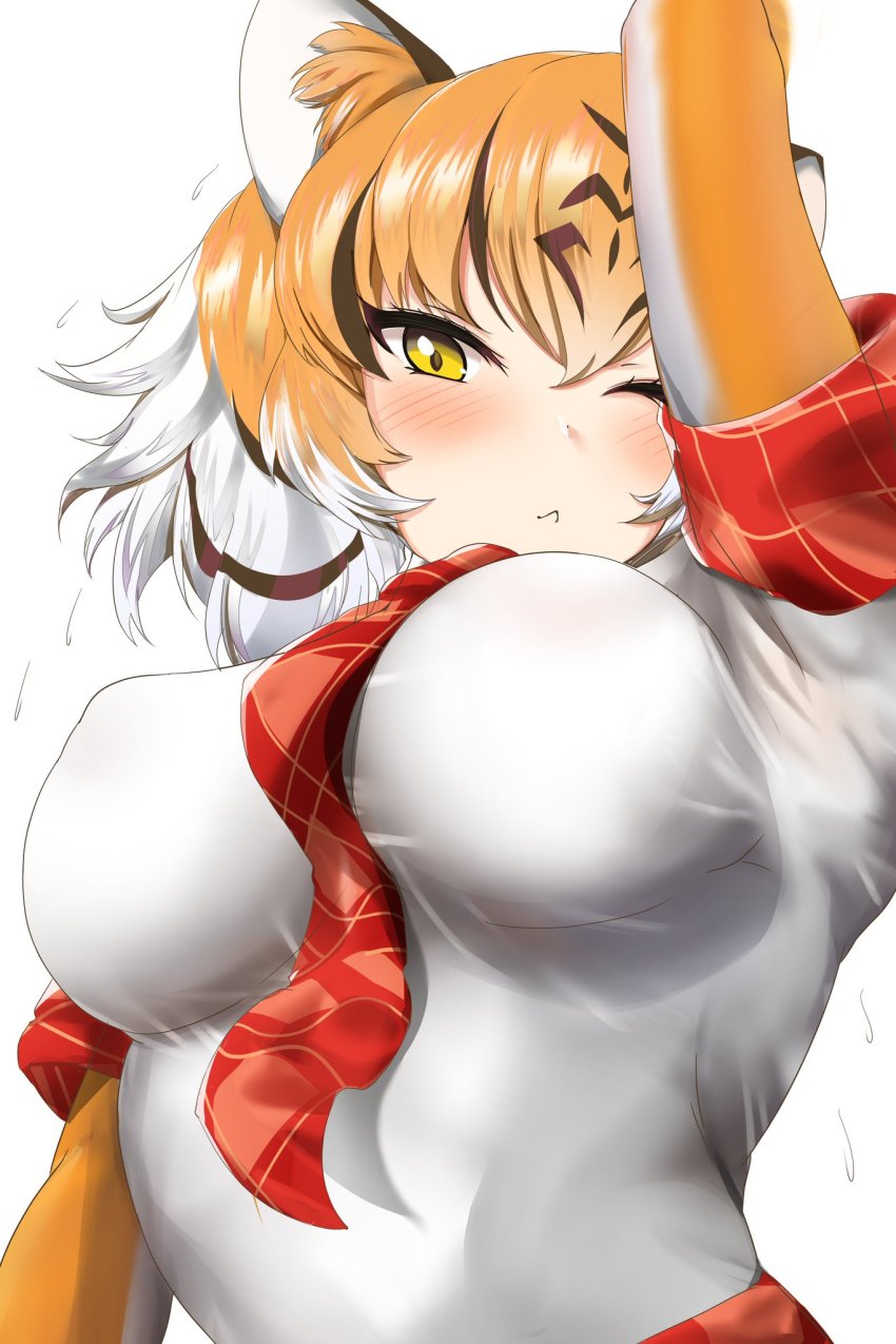 Kemono Friends Rule 34 Image
