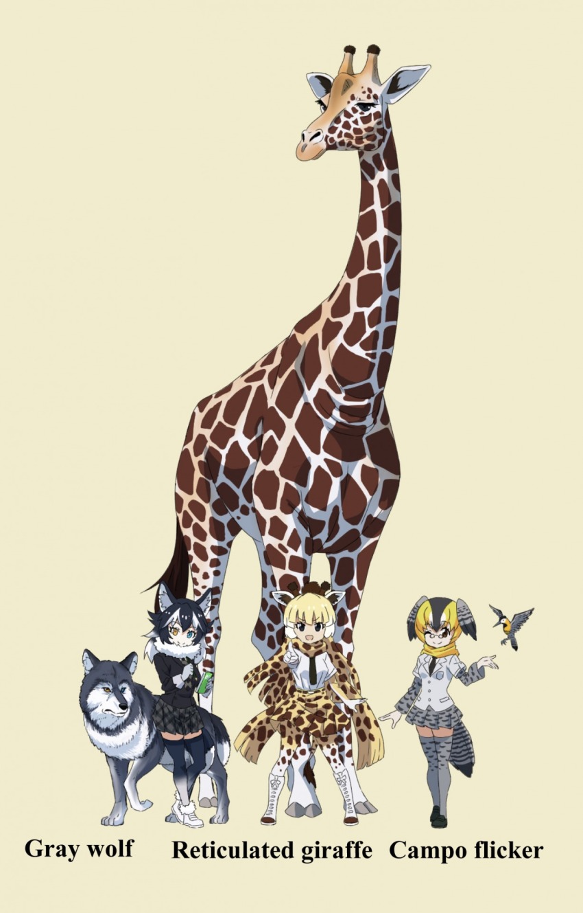 Grey Wolf (Kemono Friends) Rule 34 Image