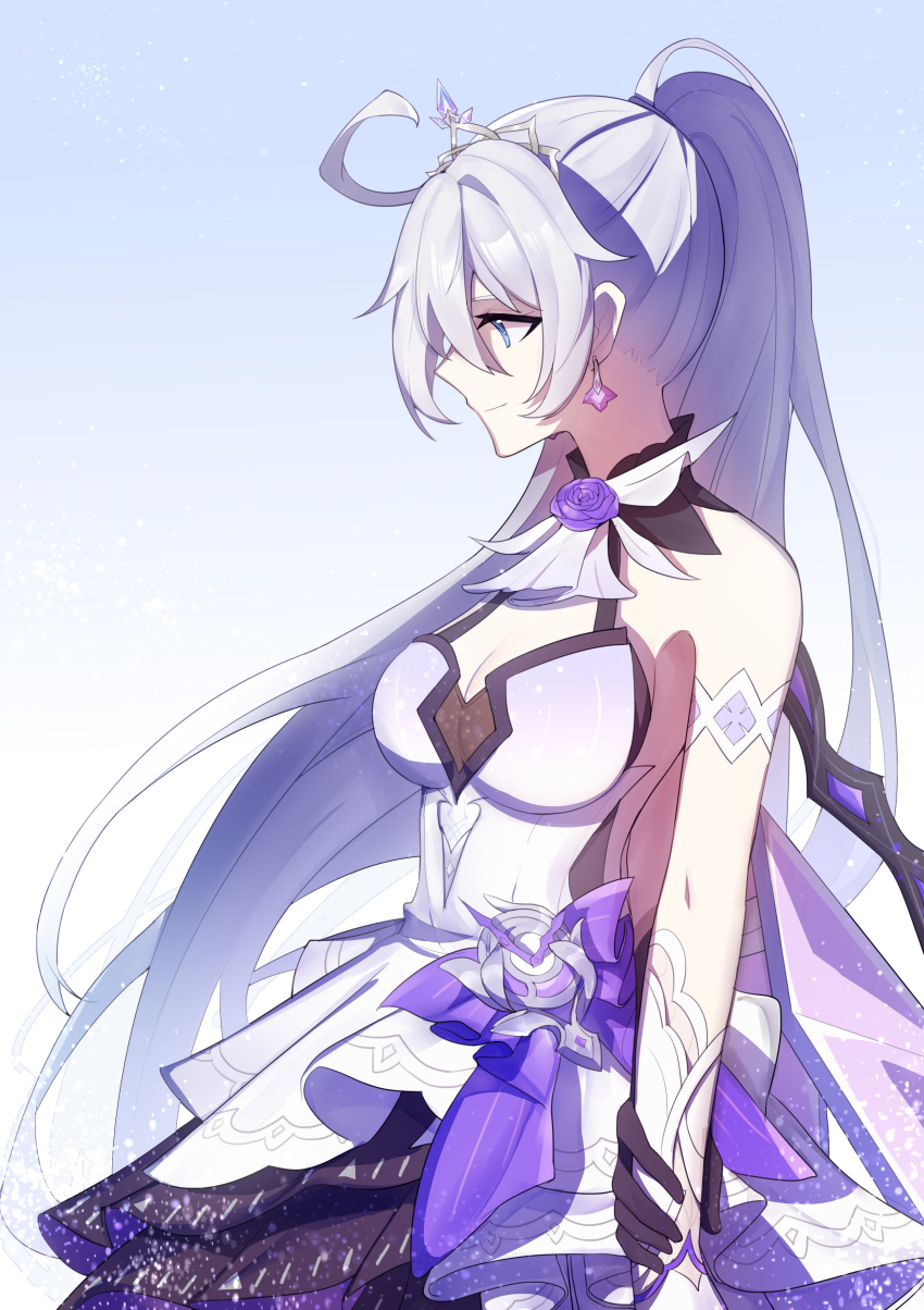 Kiana Kaslana (Honkai (Series)) Rule 34 Image
