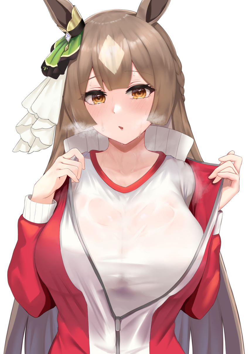 Satono Diamond (Umamusume) Rule 34 Image