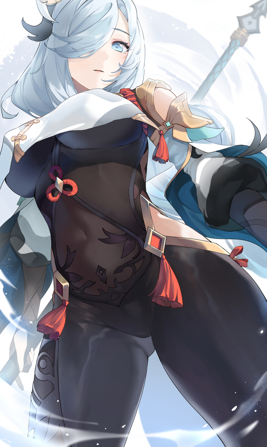 Shenhe (Genshin Impact) Rule 34 Image