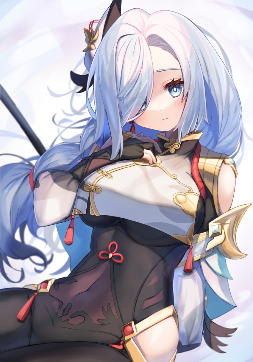 Shenhe (Genshin Impact) Rule 34 Image