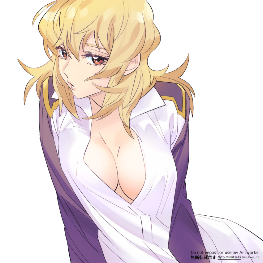 Cagalli Yula Athha (Gundam) Rule 34 Image