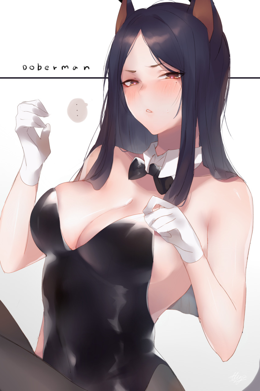 Dobermann (Arknights) Rule 34 Image