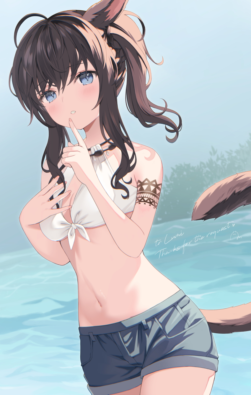Miqo'Te (Final Fantasy) Rule 34 Image