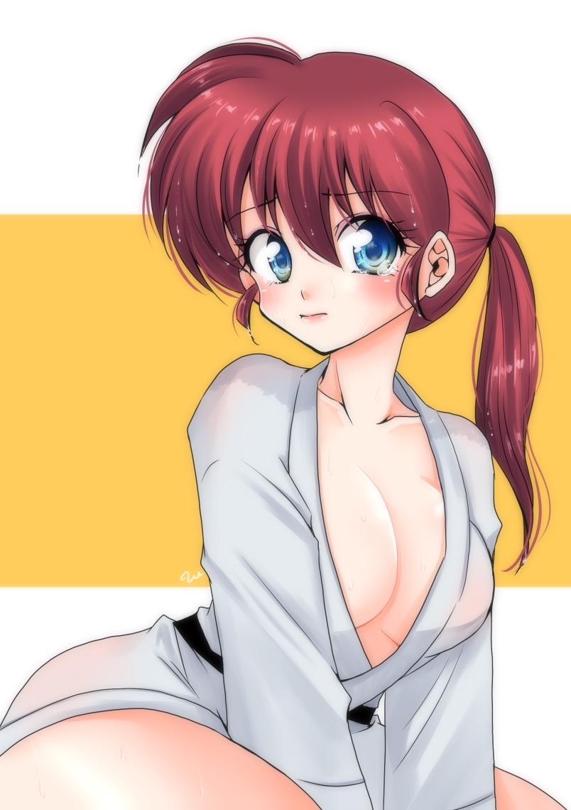 Ranma-Chan (Ranma 1/2) Rule 34 Image