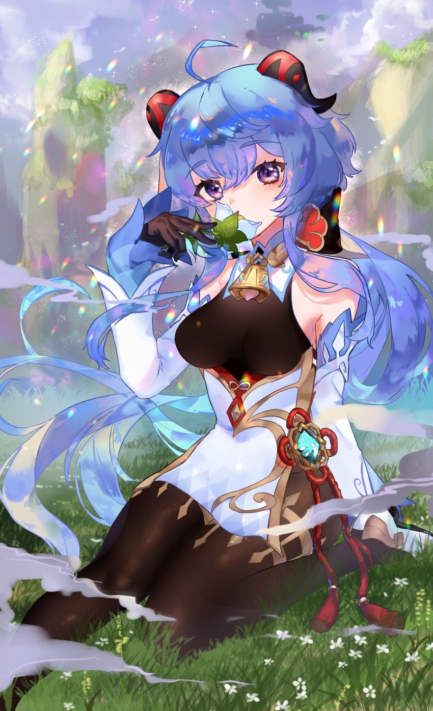 Ganyu (Genshin Impact) Rule 34 Image