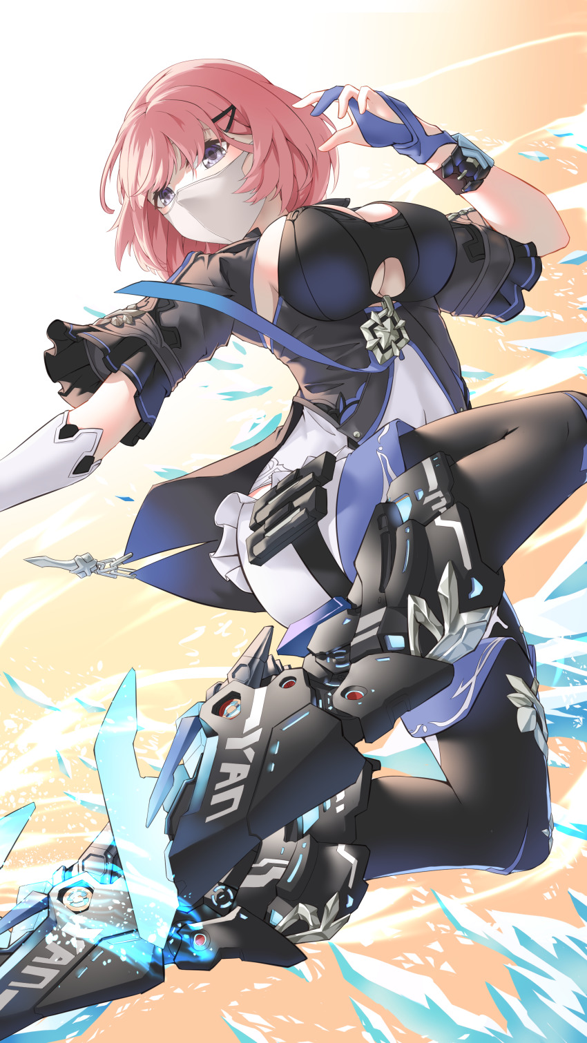 Timido Cute (Honkai (Series)) Rule 34 Image