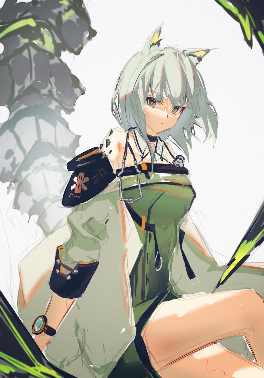 Kal'Tsit (Arknights) Rule 34 Image