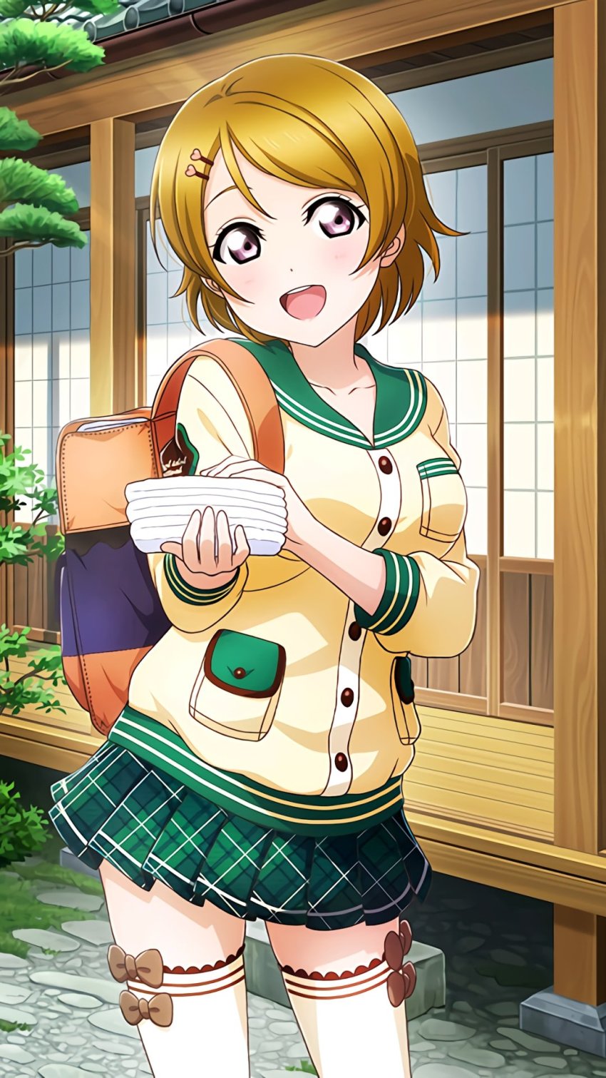 Koizumi Hanayo (Love Live!) Rule 34 Image