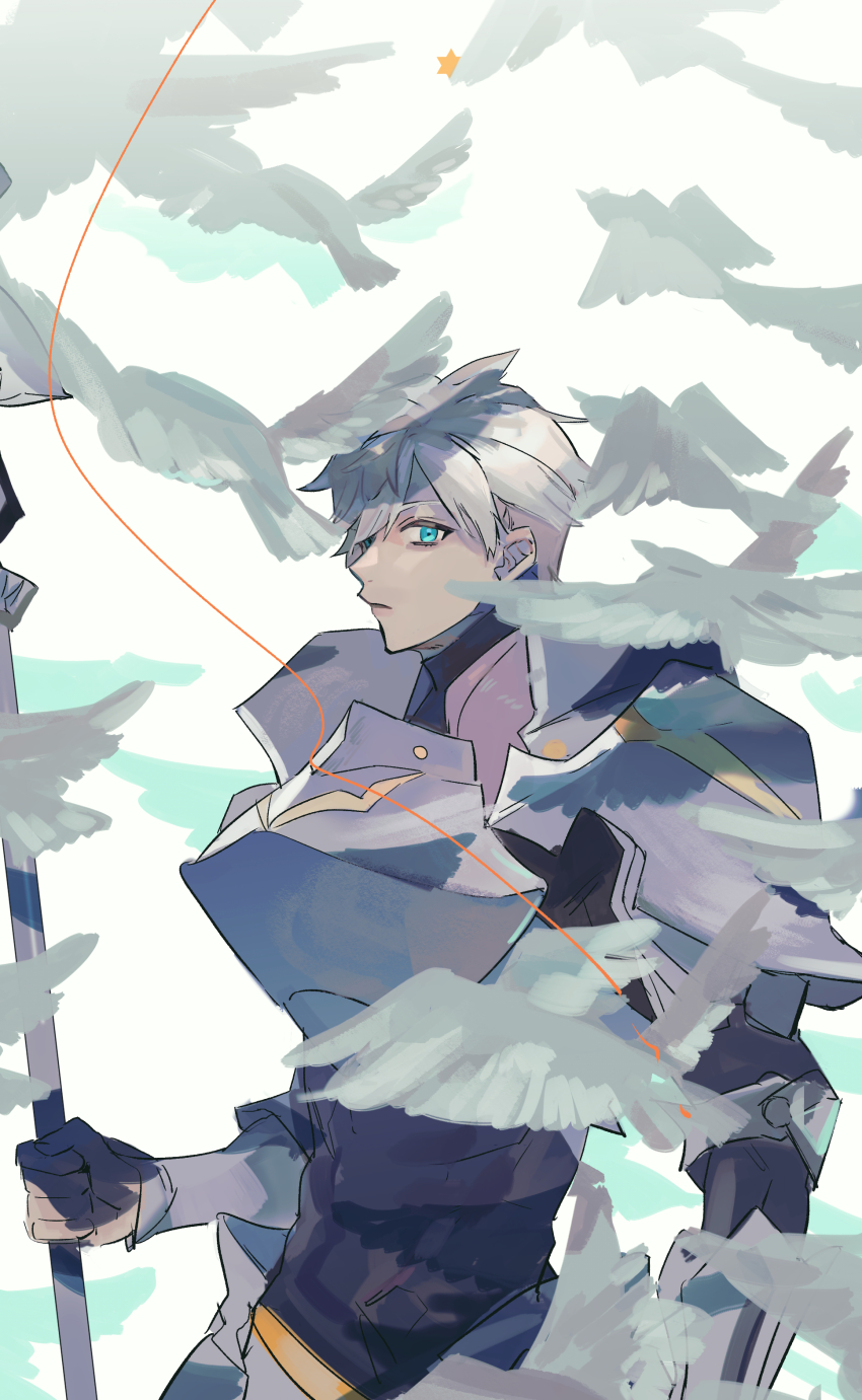 Percival (Fate) Rule 34 Image