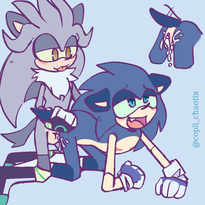 Silver The Hedgehog (Sega) Rule 34 Image