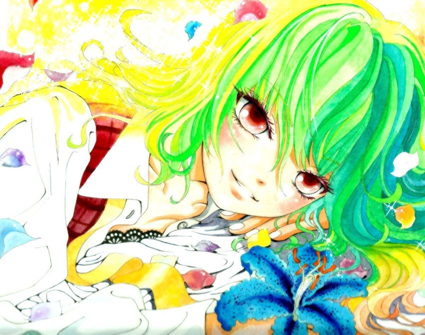 Kazami Yuuka (Touhou) Rule 34 Image