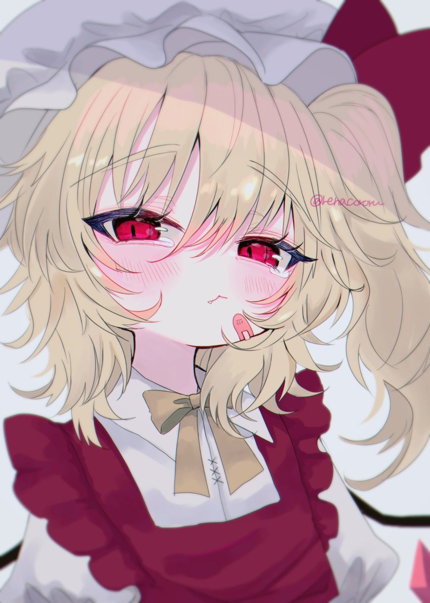 Flandre Scarlet (Touhou) Rule 34 Image