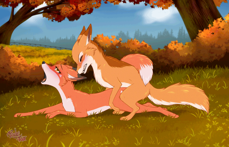 Abby (Rukifox) Rule 34 Image