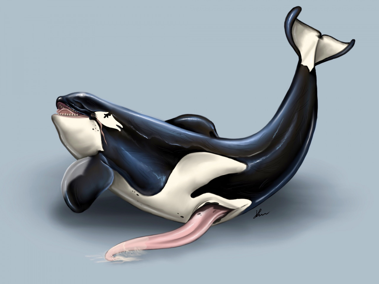 2020 Rule 34 Image