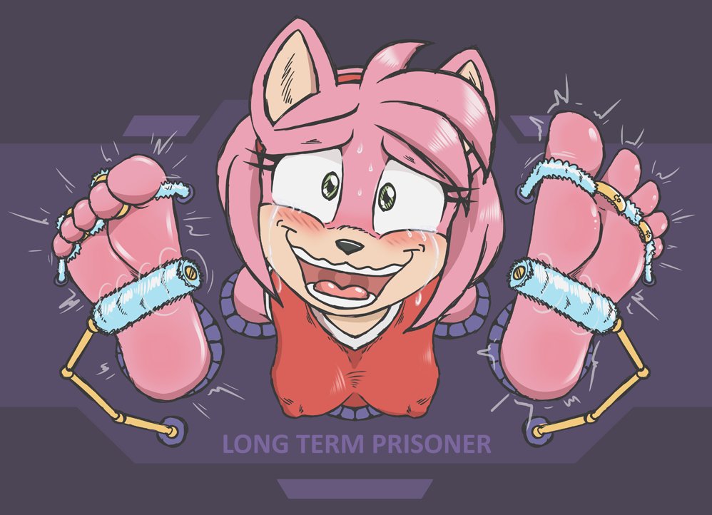 Amy Rose (Sonic (Series)) Rule 34 Image