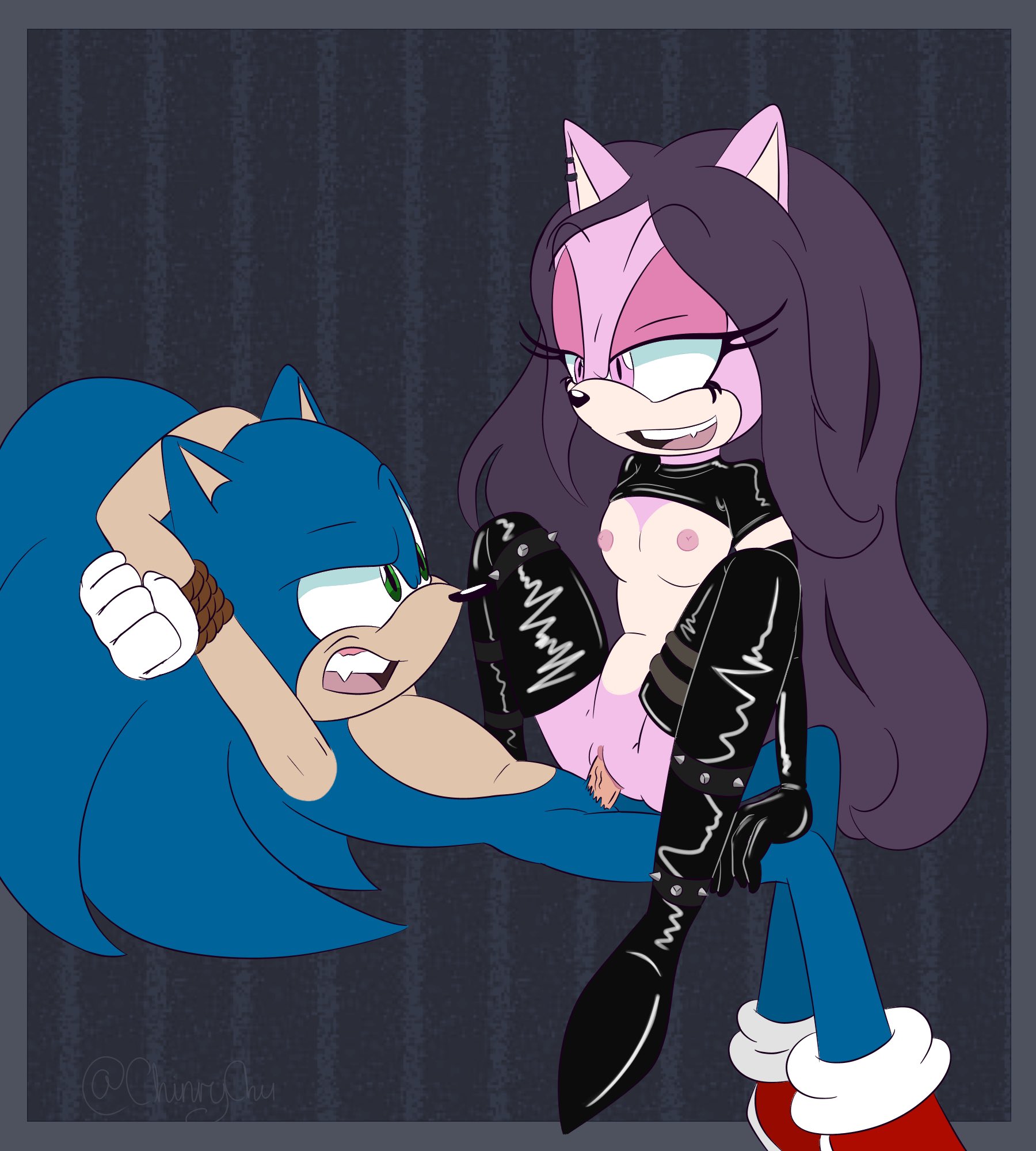 Sonic The Hedgehog (Sonic (Series)) Rule 34 Image